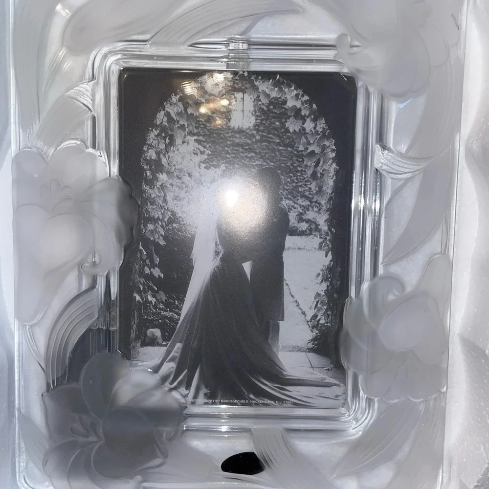 NWT ABSOLUTELY GORGEOUS FROSTED CRYSTAL CLEAR SIGNATURES RECTANGLE PICTURE FRAME